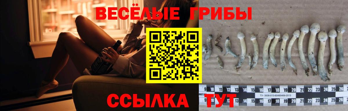 Екатеринбург  Галлюциногенные грибы Magic Shrooms  Вход с VPN 